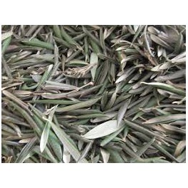 Olive leafs (olea europaea) 120 Caps 300mg
