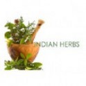 Indian Herbs (Ingrediants for the Black Salve) 100g