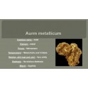 Aurum metallicum DH8 500ml