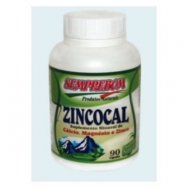 Zinc, Magnesia and Calcium 90 Pills